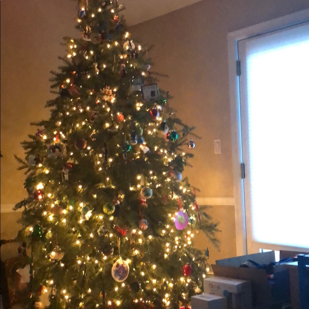 Meet your Posher, Victoria